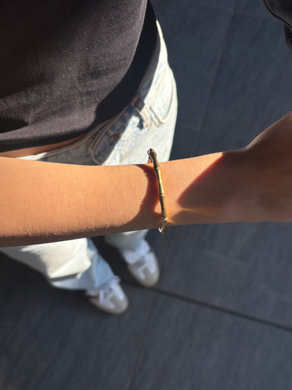 KAPALI BAMBU KELEPÇE