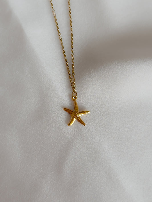 DENİZ YILDIZI KOLYE